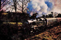 499025 Bluebell Railway BR Standard Class 4 A4 Limited Edition Watercolour Print