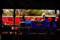 499029 Bluebell At Horsted Keynes Station A4 Limited Edition Watercolour Print