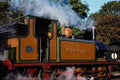 499031 Bluebell Railway A4 Photo Print