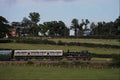 499032 Bluebell Railway A4 Photo Print