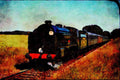 499035 _Schools_ Class At Freshfield Bank A4 Limited Edition Watercolour Print