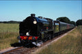 499035 Schools Class At Freshfield Bank A4 Photo Print