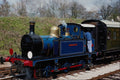499040 Bluebell At Horsted Keynes A4 Photo Print