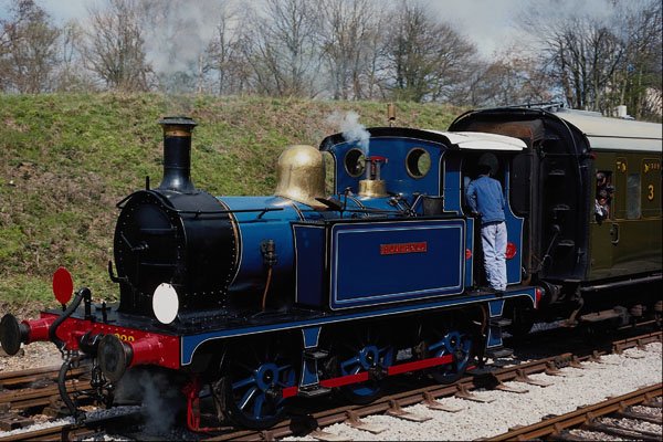 499040 Bluebell At Horsted Keynes A4 Photo Print