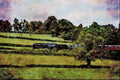 499049 9F 2 10 0 Bluebell Railway A4 Limited Edition Watercolour Print