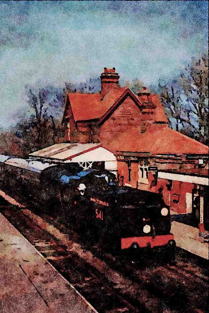 499050 No. 541 Q Class At Sheffield Park A4 Limited Edition Watercolour Print
