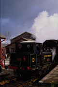 499054 Terrier Sutton At Tenterden Station A4 Photo Print