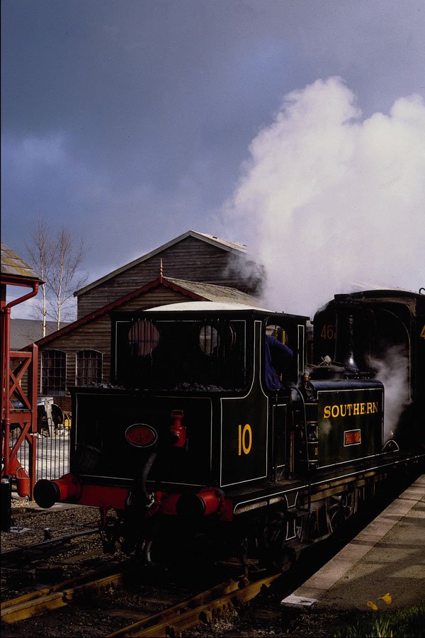 499054 Terrier Sutton At Tenterden Station A4 Photo Print