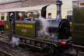 499056 Terrier Sutton At Tenterden A4 Photo Print
