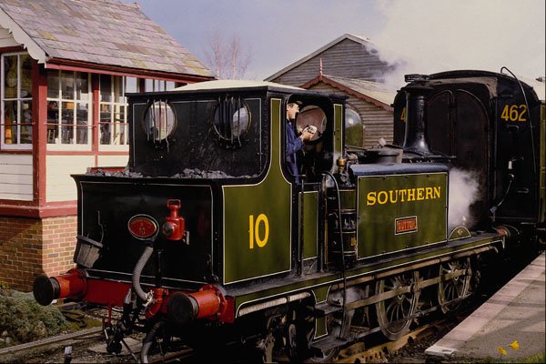 499057 Terrier Sutton At Tenterden A4 Photo Print