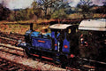 499062 P Class _Bluebell_ At Horsted Keynes On The Bluebell Railway A4 Limited Edition Watercolour Print