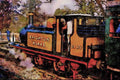 499064 Class A1X Terrier At Sheffield Park Station On The Bluebell A4 Limited Edition Watercolour Print