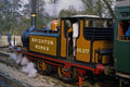 499064 Class A1X Terrier At Sheffield Park Station On The Bluebell A4 Photo Print