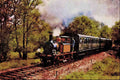 499066 Class A1X _Stepney_ Near Horsted Keynes On The Bluebell Railway A4 Limited Edition Watercolour Print