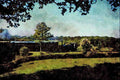 499070 P Class _Bluebell_ At Holywell A4 Limited Edition Watercolour Print