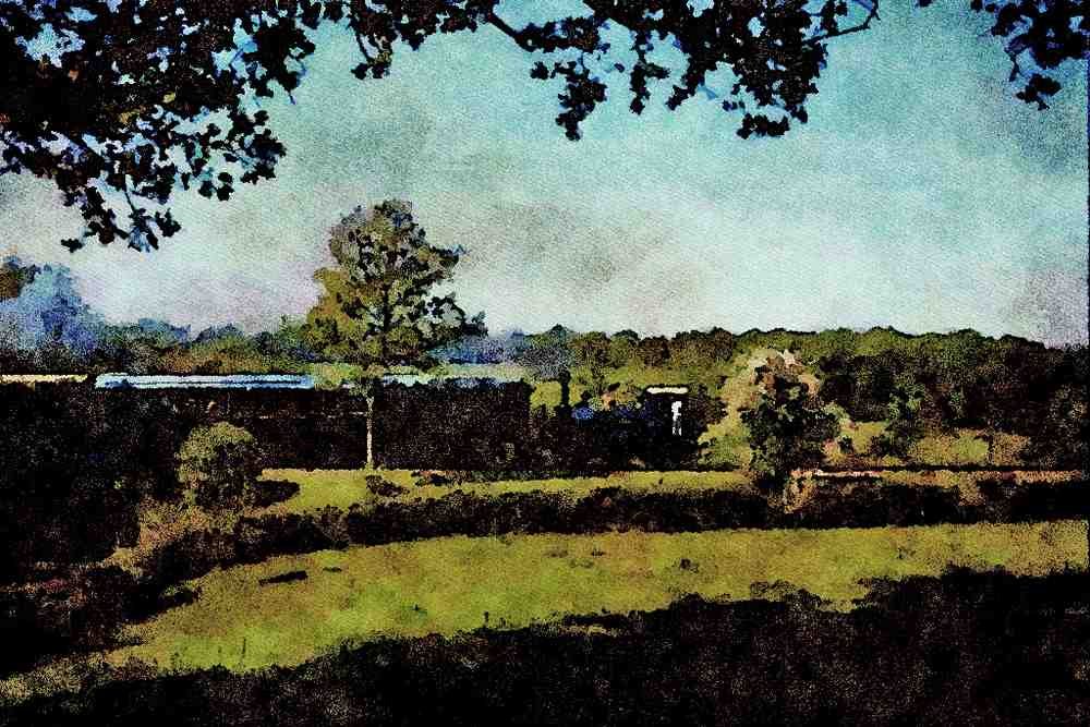 499070 P Class _Bluebell_ At Holywell A4 Limited Edition Watercolour Print