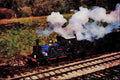 499072 P Class _Bluebell_ At The Horsted Keynes On The Bluebell A4 Limited Edition Watercolour Print