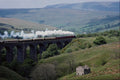 499078 Princess Margaret Rose Lunds Viaduct A4 Photo Print