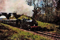 499080 No. 1618 U Class At Three Arch Bridge A4 Limited Edition Watercolour Print