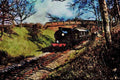 499082 Bluebell Railway Q Class No. 541 A4 Limited Edition Watercolour Print