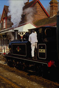 499083 Terrier Fenchurch At Sheffield Park A4 Photo Print