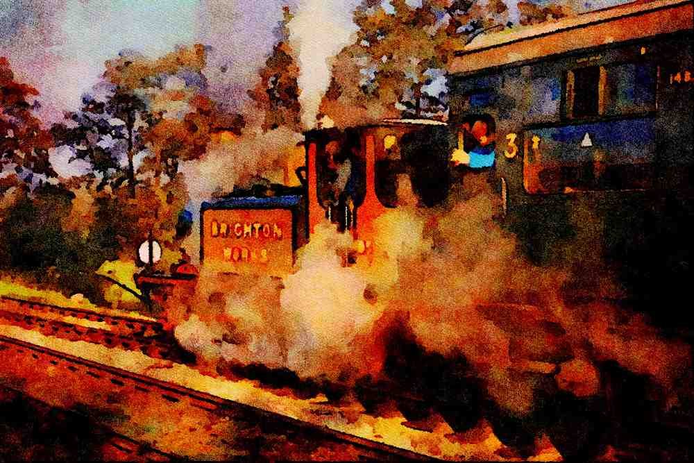 499085 Terrier DS377 At Sheffield Park A4 Limited Edition Watercolour Print