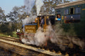 499085 Terrier DS377 At Sheffield Park A4 Photo Print