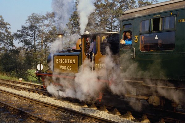 499085 Terrier DS377 At Sheffield Park A4 Photo Print