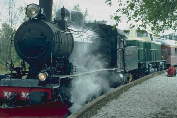 499099 Steam Train Excursion A4 Photo Print