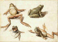 4frogs Art A4 Photo Print