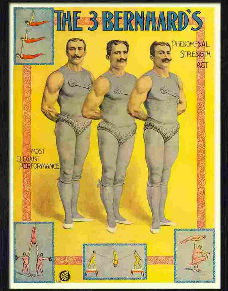 5 3 bernhards circus poster 1905 Advert A4 Photo Print