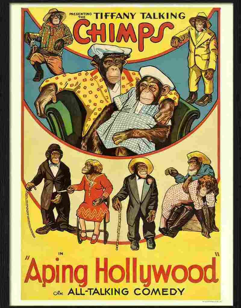 5 chimps aping hollywood Advert A4 Photo Print