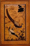 500041 Peafowl In A Landscape , Ustad Mansur A4 Photo Print