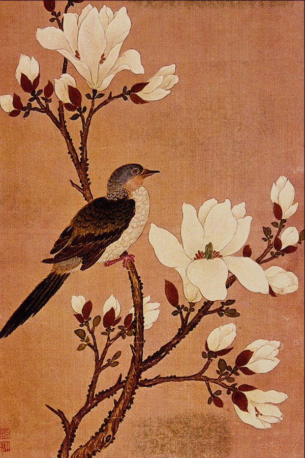 500044 Turtledove On Flowering Branch , Chiang T'ing hsi A4 Photo Print