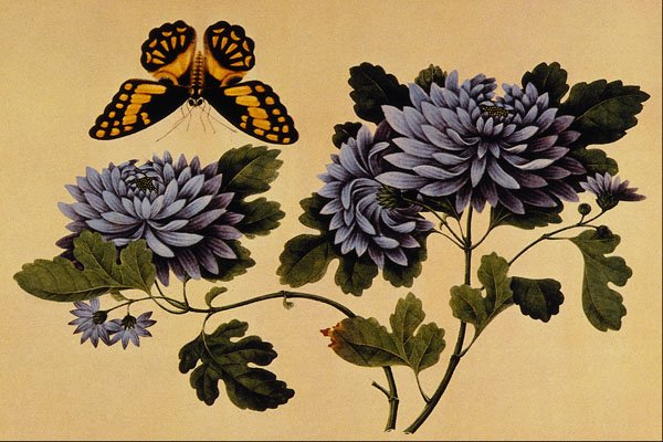 500064 Butterfly And Dahlias , Unknown Artist A4 Photo Print
