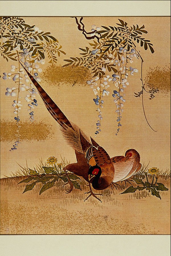 500075 Pheasants Under The Glycines , Unknown Artist A4 Photo Print