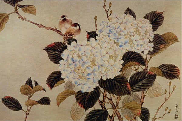 500098 Hortensia , Unknown Artist A4 Photo Print