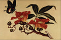 500099 Butterfly And Flowers , Unknown Artist A4 Photo Print