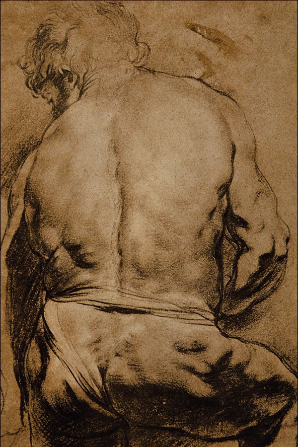 501031 Study Of A Male Figure Seen... , Sir Peter Paul Rubens A4 Photo Print