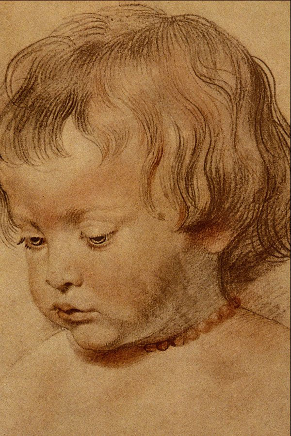 501034 Head Of A Boy , Sir Peter Paul Rubens A4 Photo Print