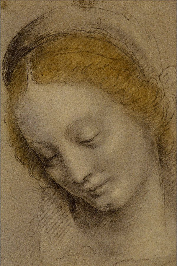 501037 Head Of A Woman , Bernardino Luini A4 Photo Print