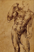 501050 Studio D'Uomo Nudo , Michelangelo Buonarroti A4 Photo Print