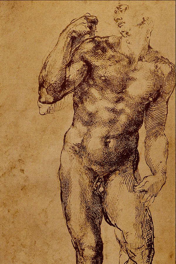 501050 Studio D'Uomo Nudo , Michelangelo Buonarroti A4 Photo Print