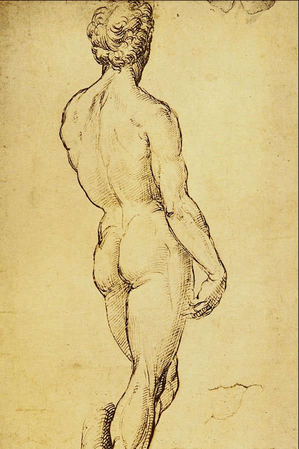 501064 Studio Di Nudo , Sanzio Raffaello A4 Photo Print