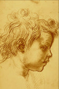 501073 Head Of A Child , Andrea Del Sarto A4 Photo Print