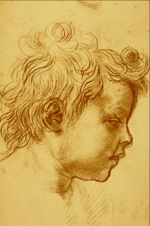 501073 Head Of A Child , Andrea Del Sarto A4 Photo Print