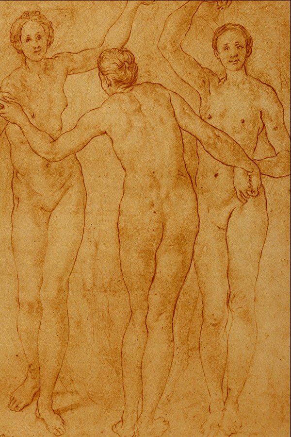 501077 The Three Graces , Jacopo Carrucci A4 Photo Print