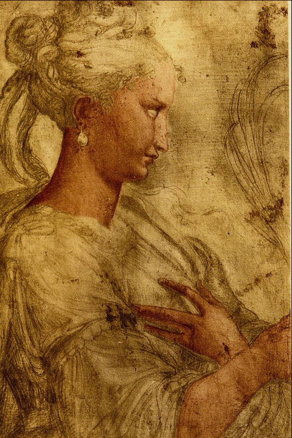 501078 Profilo Di Donna , Parmigianino A4 Photo Print