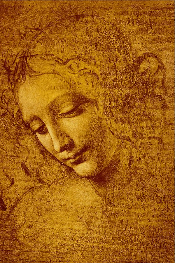 501080 Testa Di Fanciulla Detta La... , Leonardo Da Vinci A4 Photo Print