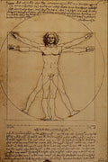 501085 Studio Del Corpo Umano , Leonardo Da Vinci A4 Photo Print